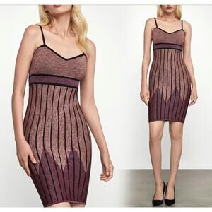 BCBGMAXAZRIA Pink Black Stripe Sweetheart Neckline Knit Bodycon Dress L NEW